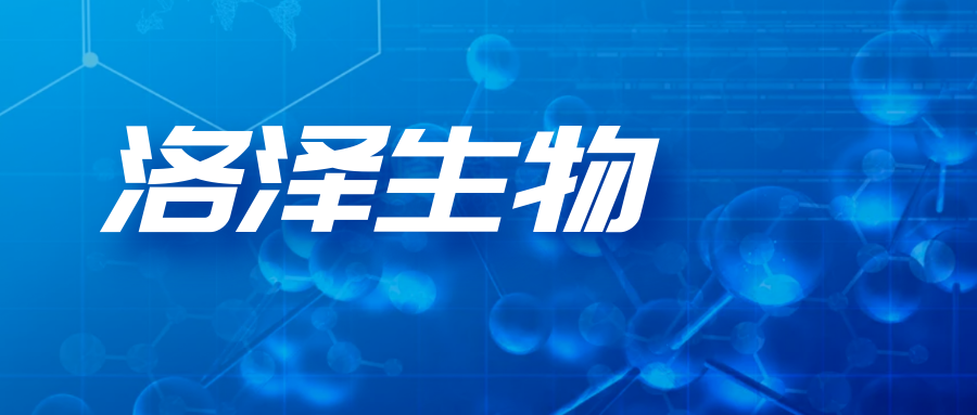列表
