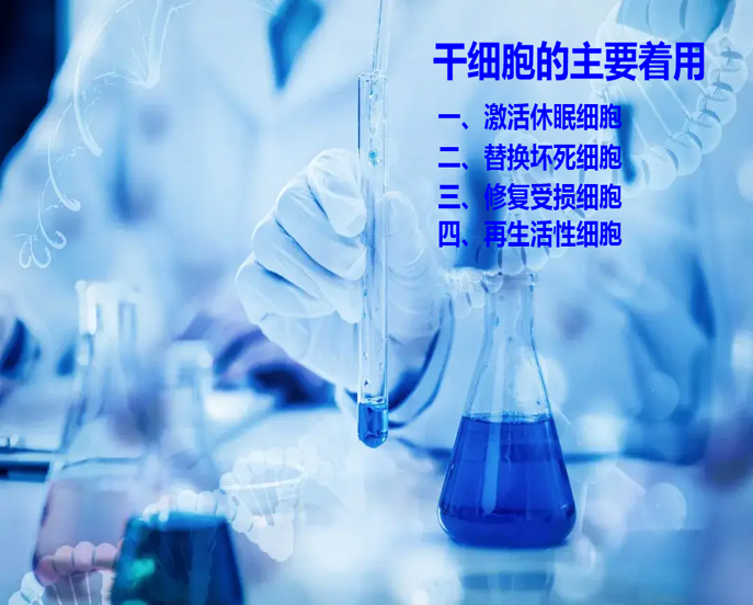 人体面临的六大健康挑战